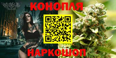 стафф Коммунар