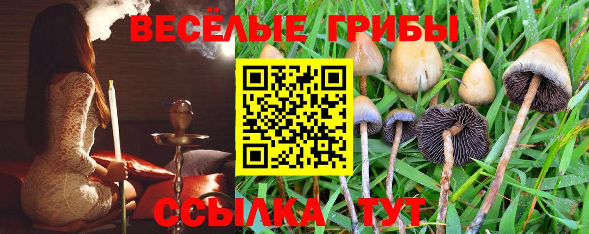Галлюциногенные грибы Psilocybine cubensis Екатеринбург