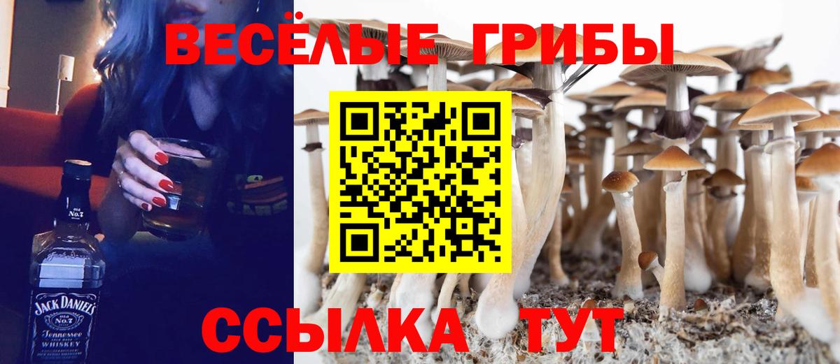Псилоцибиновые грибы Magic Shrooms  купить  сайты  Екатеринбург  Вход с VPN  Псилоцибиновые грибы MAGIC MUSHROOMS 